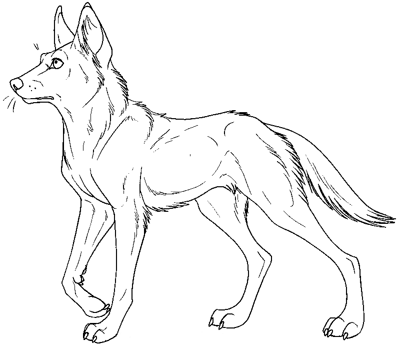 desene de colorat dingo
